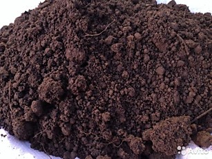 Купить грунт